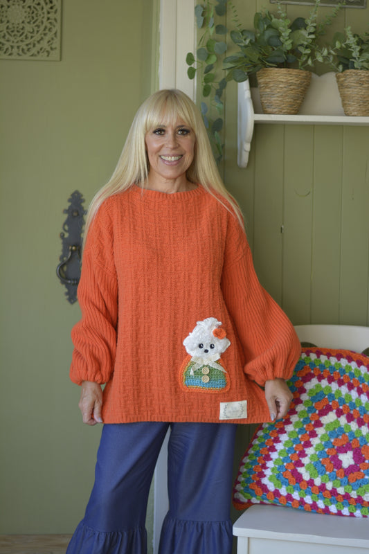 Camisola Lambezul Laranja Cão